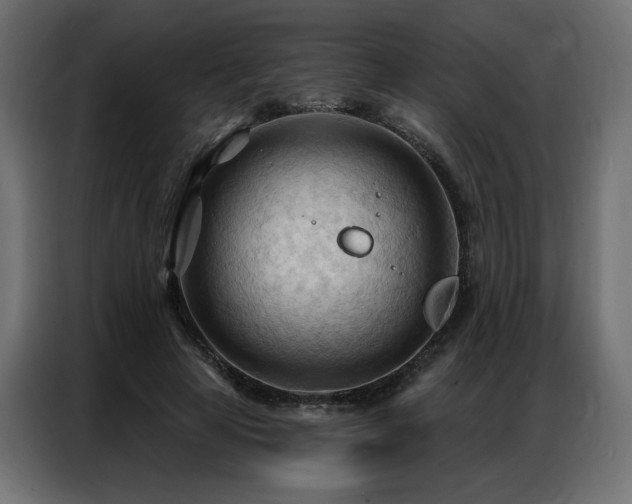 X0000086900641200704161317