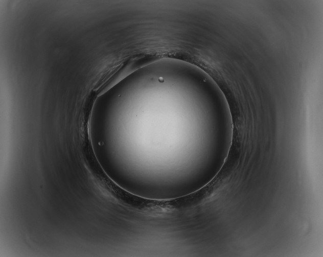 X0000086900642200704161317
