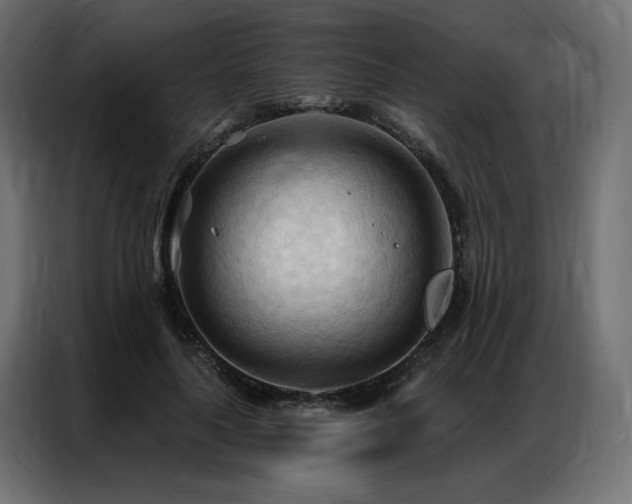 X0000086900643200704161317