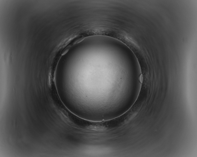 X0000086900644200704161317