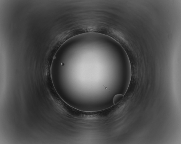 X0000086900645200704161317