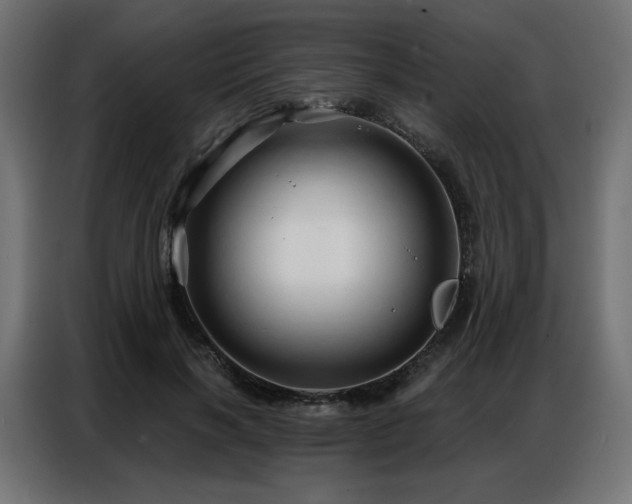 X0000086900646200704161317