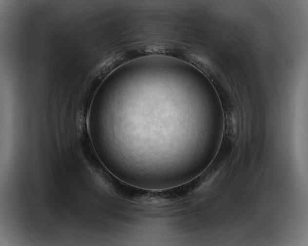 X0000086900648200704161317