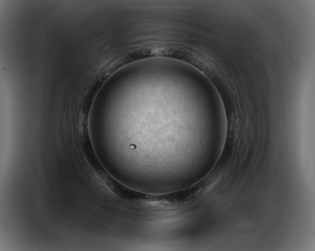 X0000086900650200704161317
