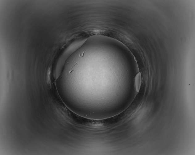X0000086900651200704161317