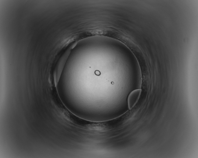 X0000086900652200704161317