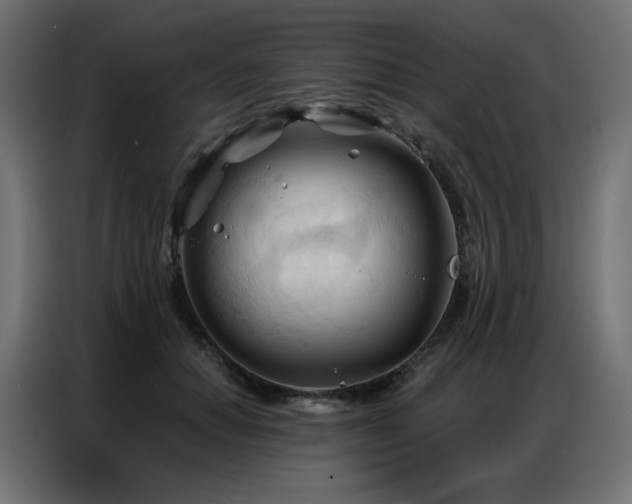 X0000086900654200704161318