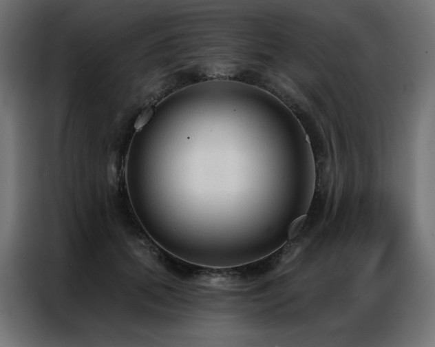 X0000086900655200704161318