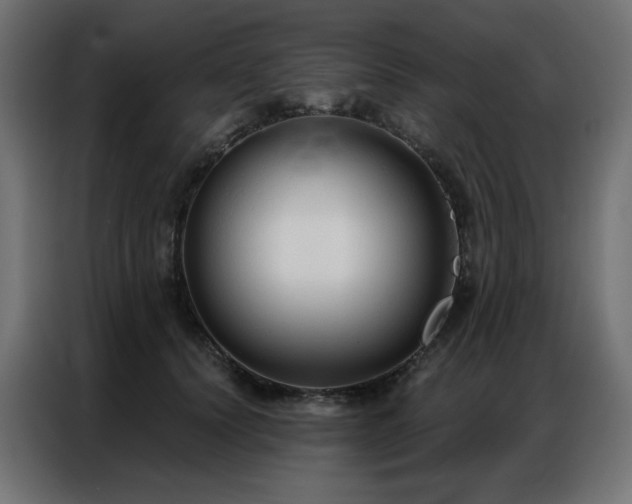 X0000086900656200704161318