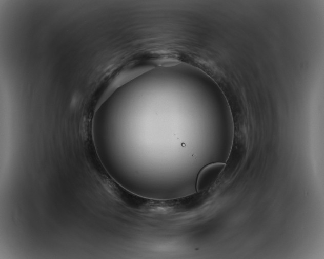 X0000086900658200704161318