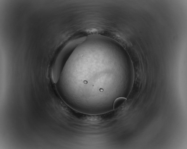 X0000086900659200704161318