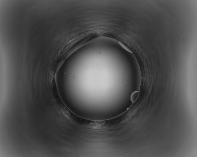 X0000086900660200704161318