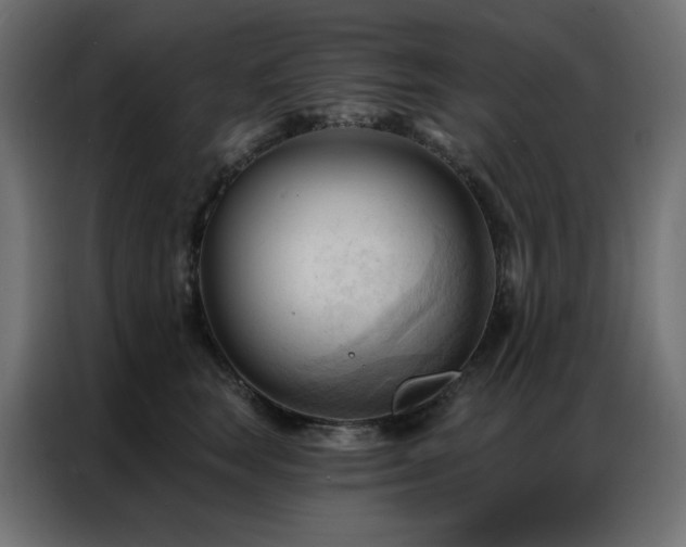 X0000086900663200704161318