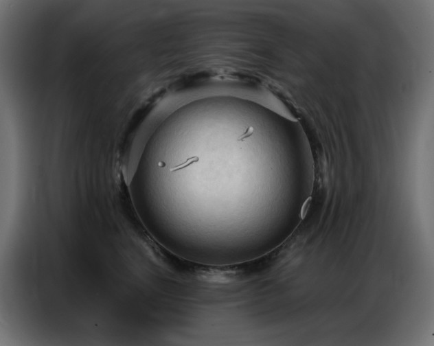 X0000086900664200704161318