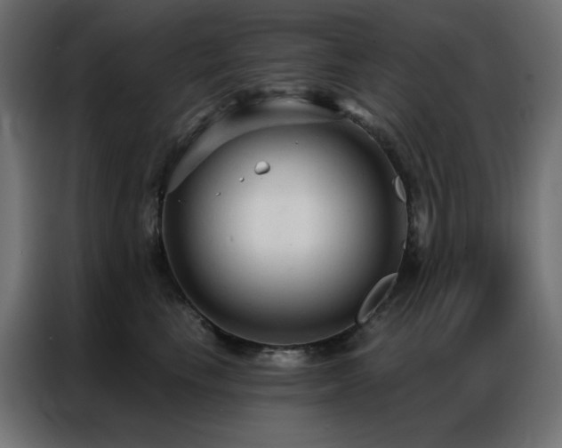 X0000086900665200704161318