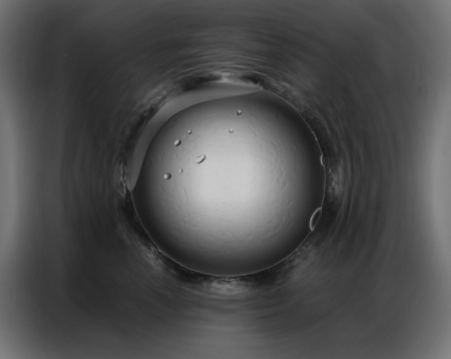 X0000086900666200704161318