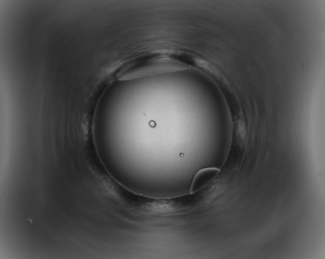 X0000086900668200704161318