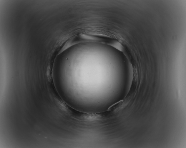 X0000086900670200704161318