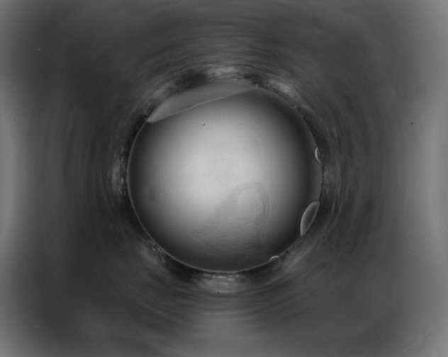 X0000086900671200704161318