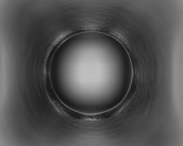 X0000086900674200704161317