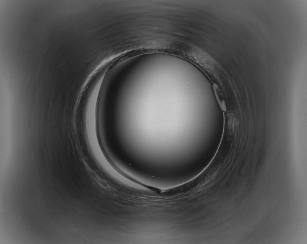 X0000086900676200704161317