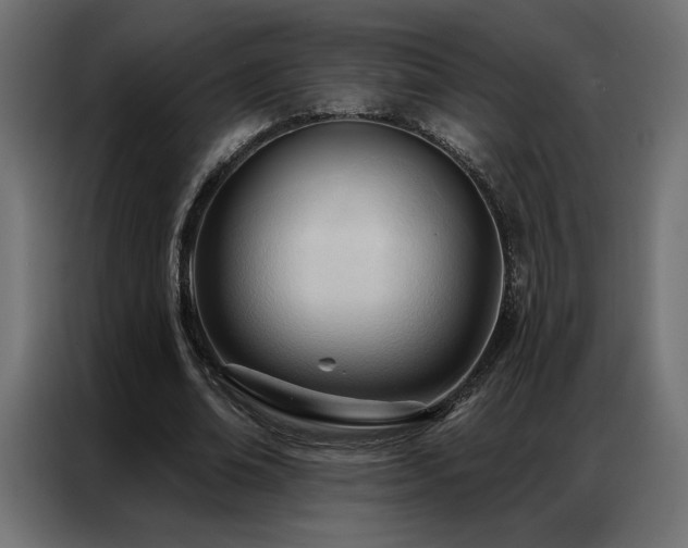 X0000086900678200704161317