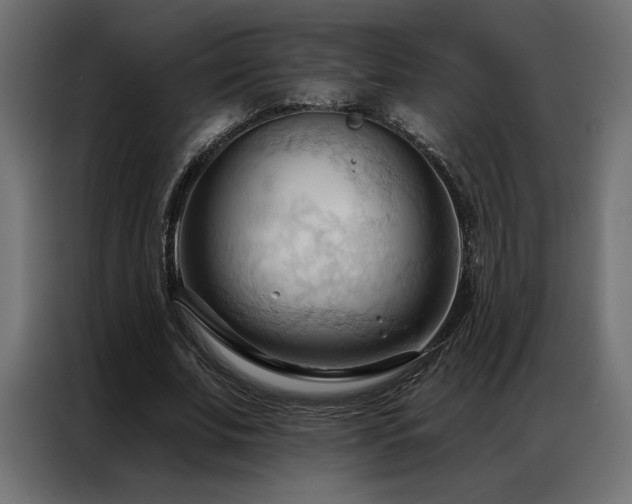 X0000086900679200704161317