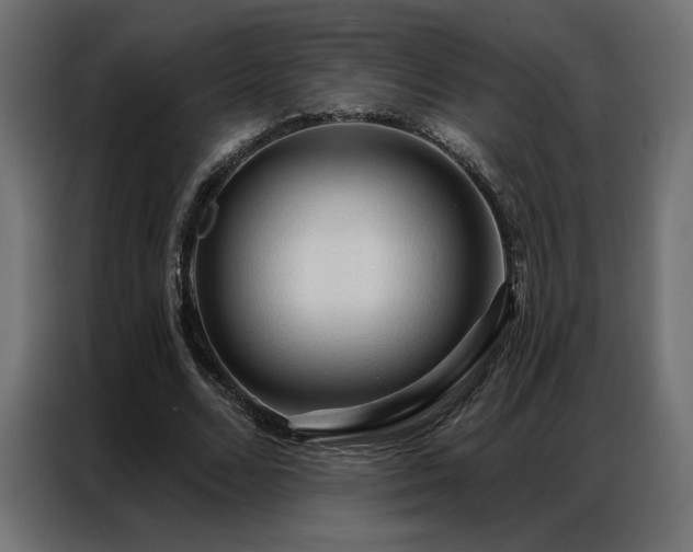 X0000086900680200704161317