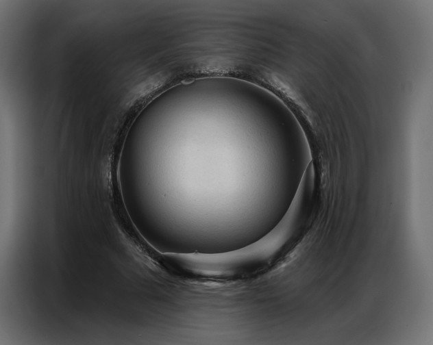X0000086900681200704161317