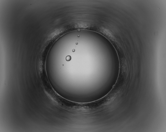 X0000086900683200704161317