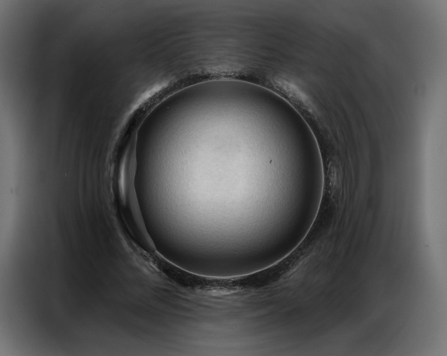 X0000086900684200704161317