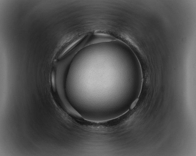 X0000086900685200704161317