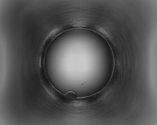 X0000086900686200704161317