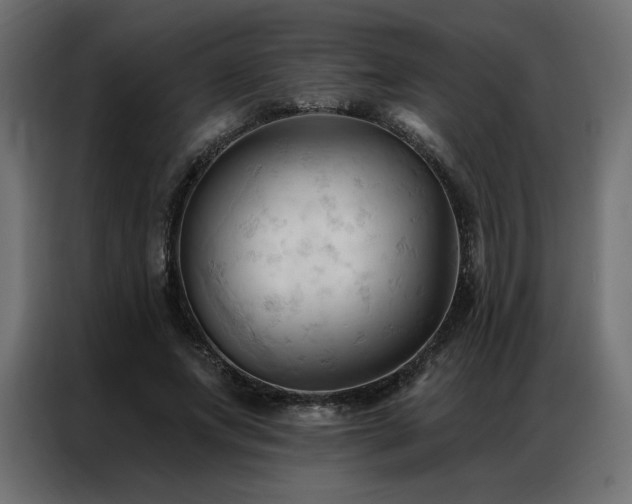X0000086900687200704161317