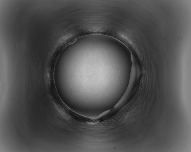X0000086900688200704161317