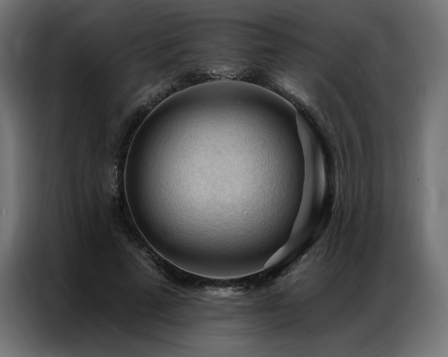 X0000086900689200704161317