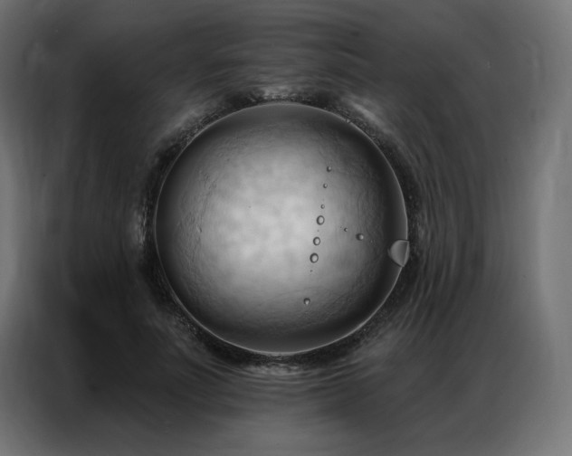 X0000086900691200704161317