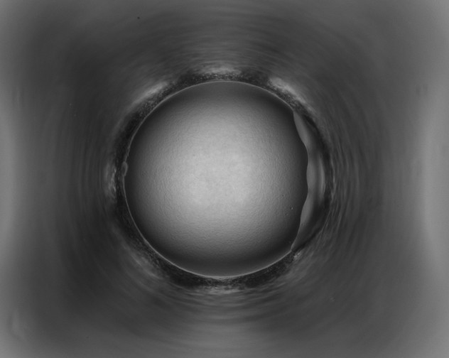X0000086900692200704161317