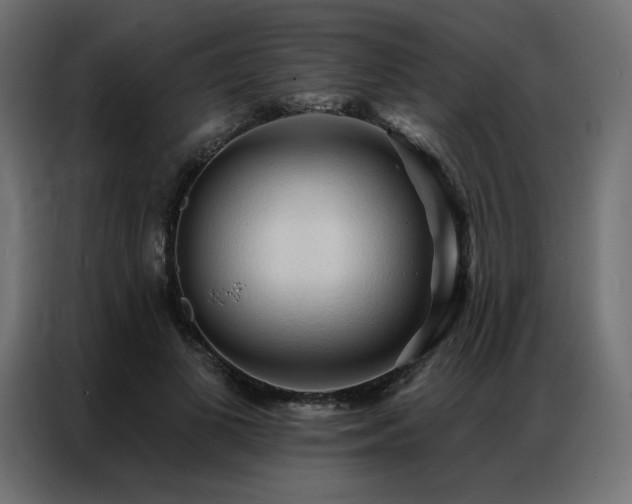 X0000086900693200704161317