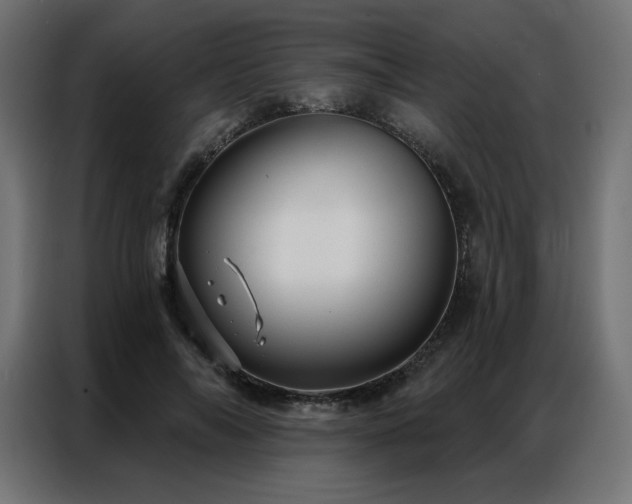 X0000086900694200704161317
