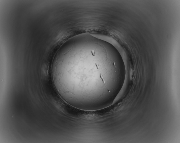 X0000086900695200704161317
