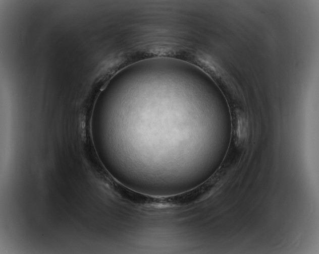 X0000086900696200704161317
