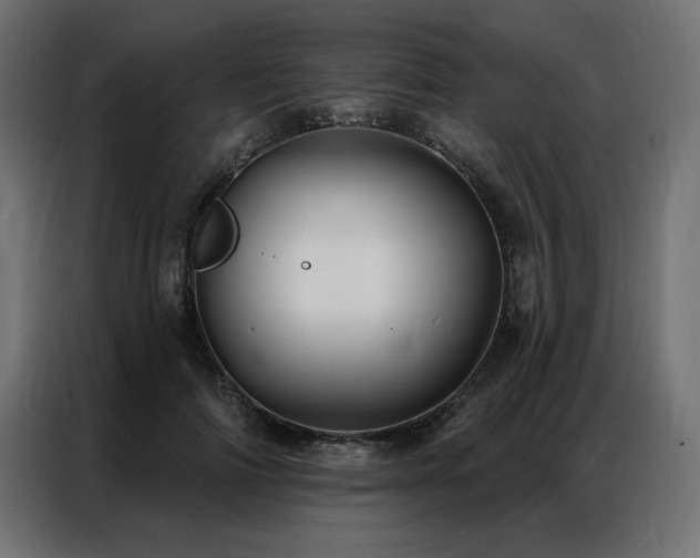 X0000086900698200704161317