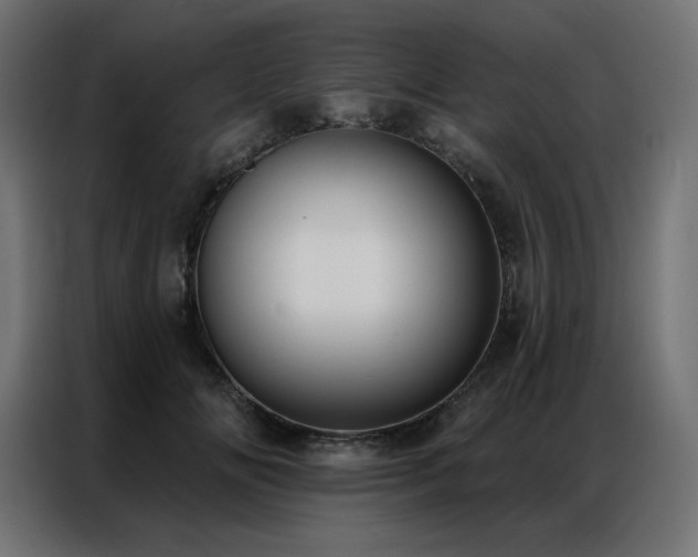 X0000086900702200704161316