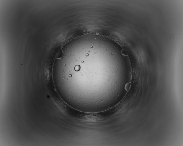 X0000086900703200704161316