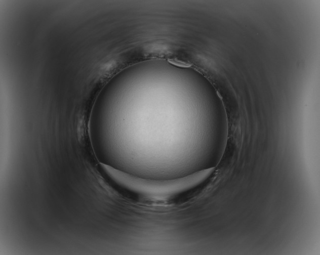 X0000086900708200704161316