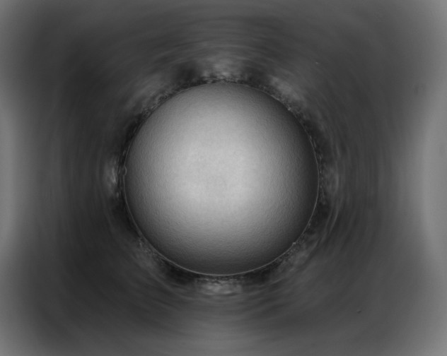 X0000086900709200704161316