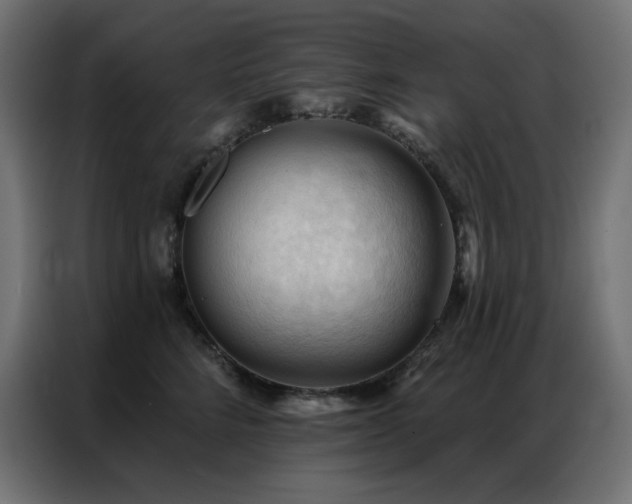X0000086900712200704161316