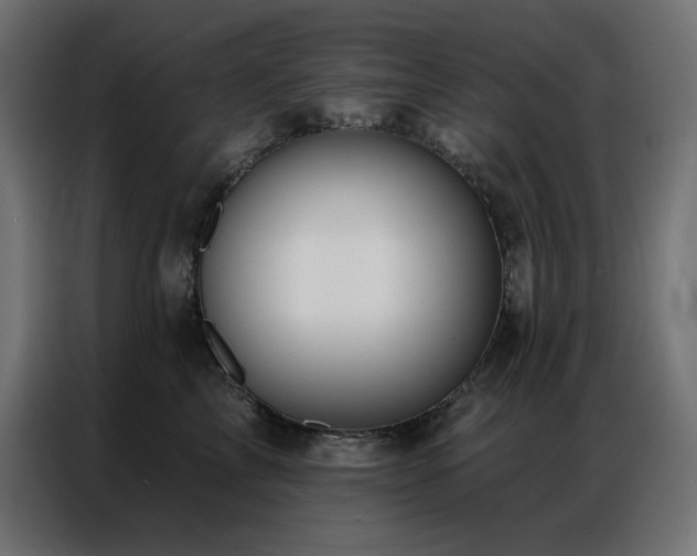 X0000086900713200704161316