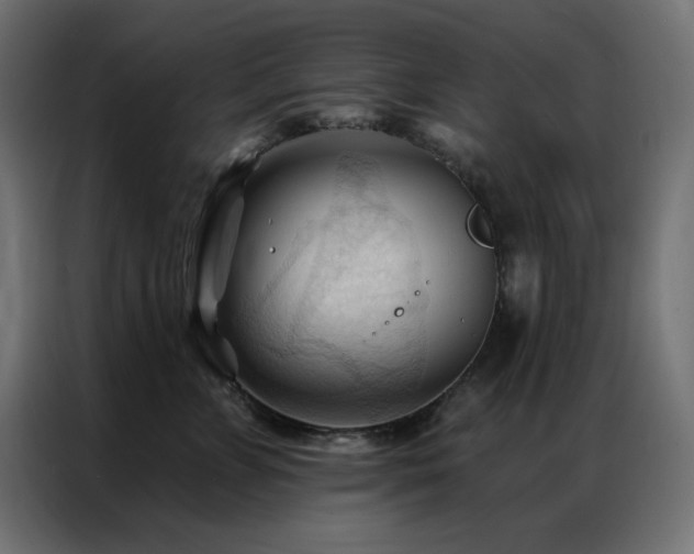 X0000086900715200704161316